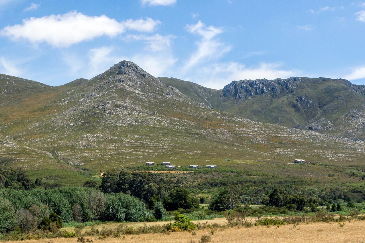 Phillipskop Mountain Reserve Stanford Zewnętrze zdjęcie